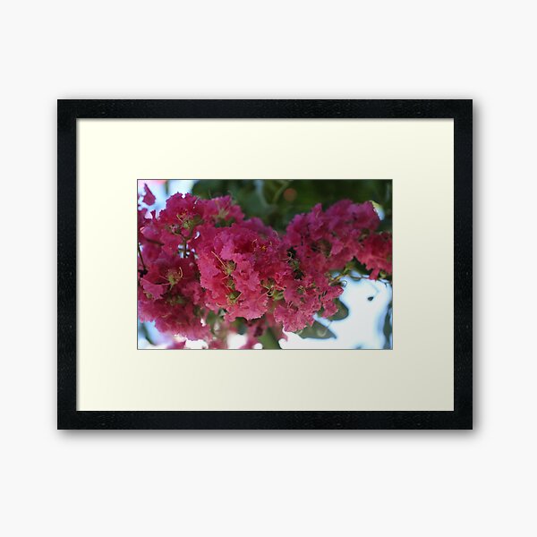 Item preview, Pink Crepe Myrtle designed and sold by Preston Simon.