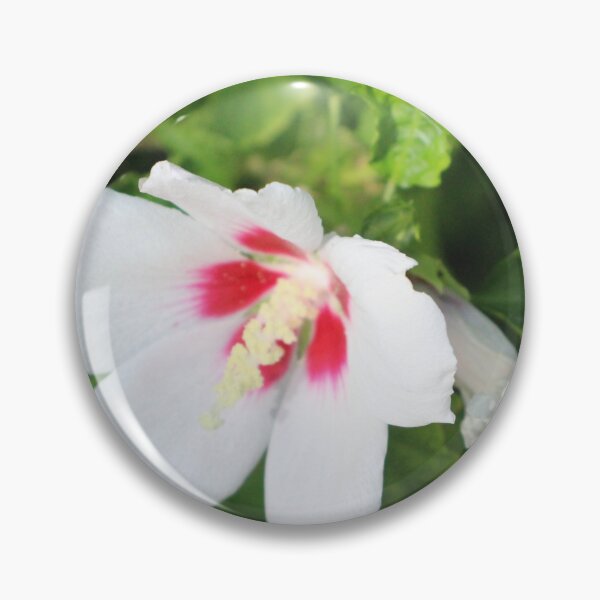 Item preview, White Rose of Sharon designed and sold by PresMatPlays.