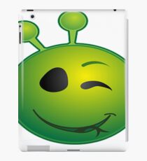 fun iPad Case/Skin