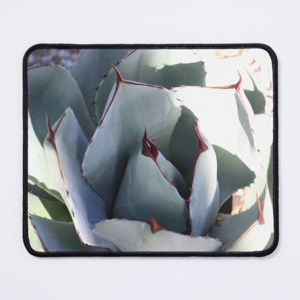 Item preview, Agave plant designed and sold by PresMatPlays.