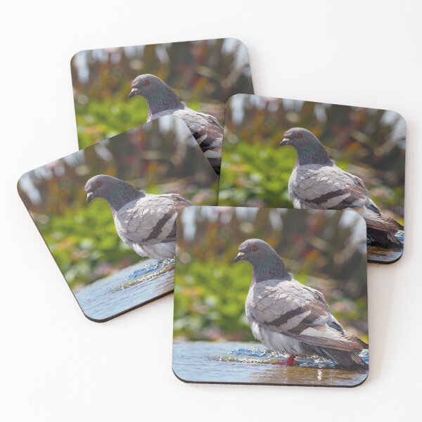 Item preview, Bird in a Bath designed and sold by GingerMan2550.
