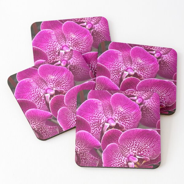 Item preview, Pink orchids  designed and sold by SaltyMonster.
