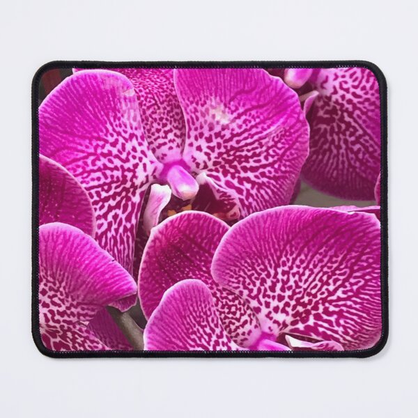 Item preview, Pink orchids designed and sold by SaltyMonster.