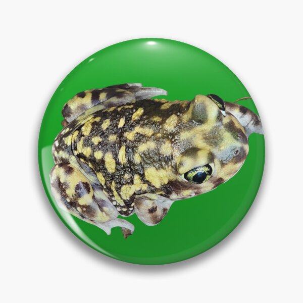 Item preview, Spadefoot Toad designed and sold by Creative Endeavors ..