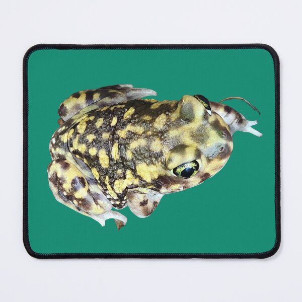 Item preview, Spadefoot Toad designed and sold by Creative Endeavors ..