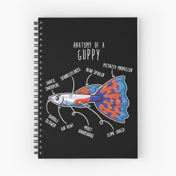 Artikelvorschau, Anatomie des Guppyfisches entworfen und verkauft von Clara Hollins.