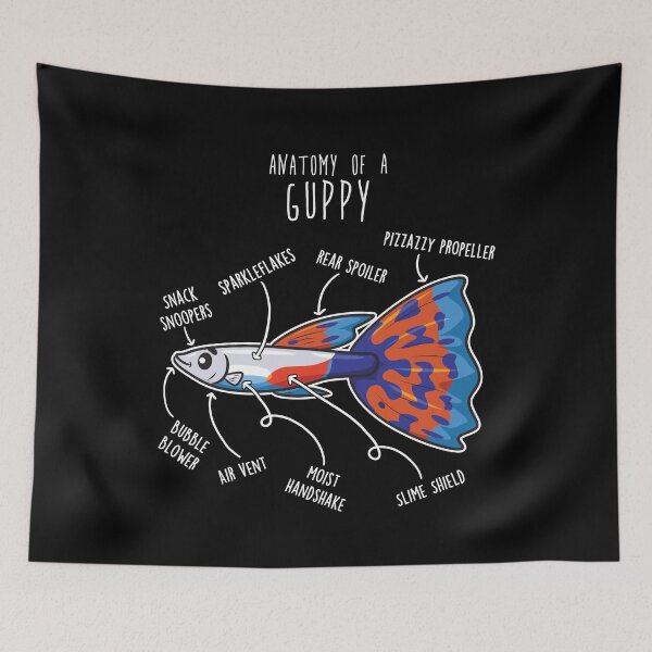 Item preview, Guppy Fish Anatomy designed and sold by Clara Hollins.