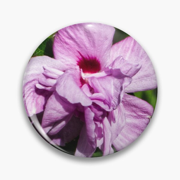 Item preview, A Pink Hibiscus  designed and sold by jalfc46.