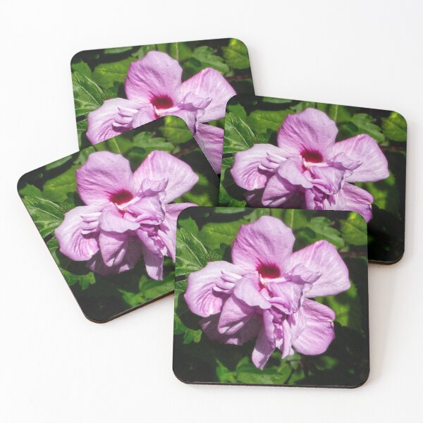 Item preview, A Pink Hibiscus  designed and sold by jalfc46.
