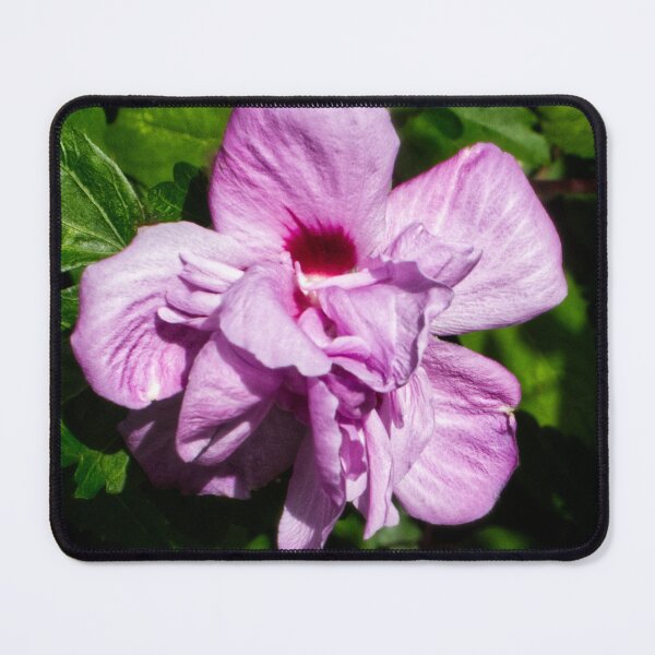 Item preview, A Pink Hibiscus designed and sold by jalfc46.