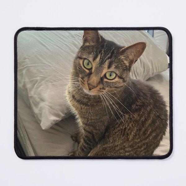 Item preview, Tabby cat on the bed.   designed and sold by therapymama.