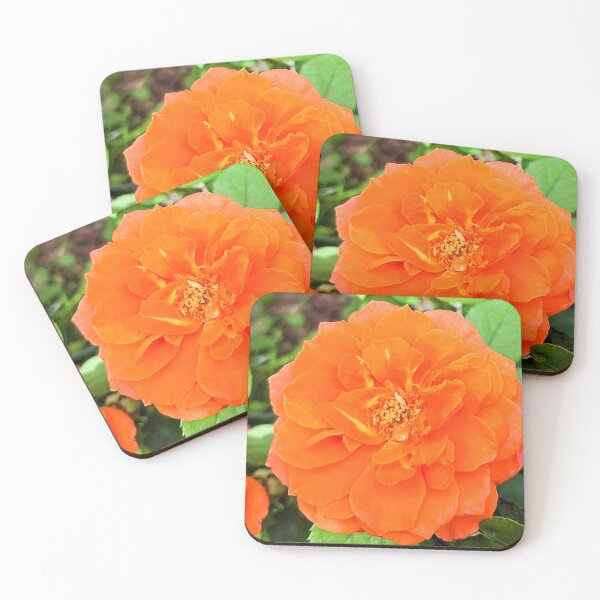 Item preview, Bright Orange Rose Original Photograph designed and sold by FloresInColor1.