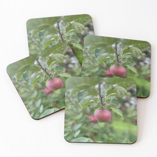 Item preview, Apple designed and sold by bradleyduncan.