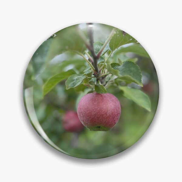 Item preview, Apple designed and sold by bradleyduncan.