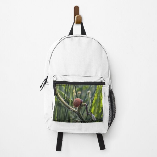 Item preview, Swamp Milkweed Beetle Larva designed and sold by Bug Shots.