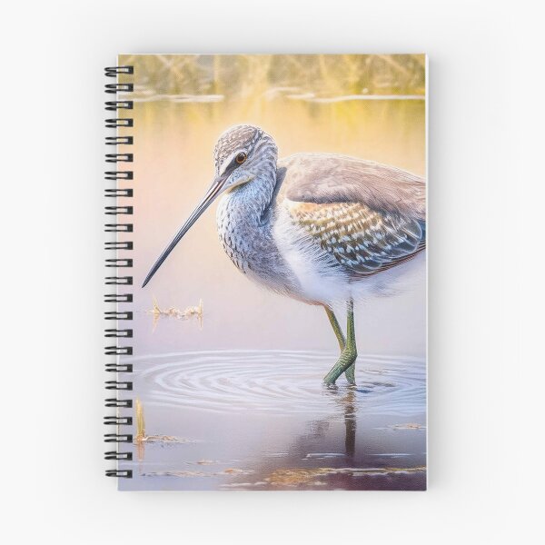 Item preview, Willet in the Water designed and sold by Susan Rydberg.