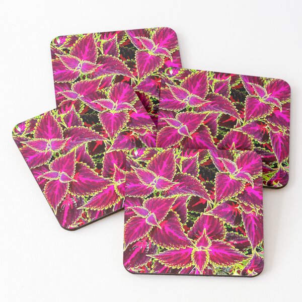 Item preview, Colorful Coleus designed and sold by bjtomiko.