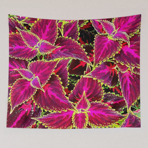 Item preview, Colorful Coleus designed and sold by bjtomiko.