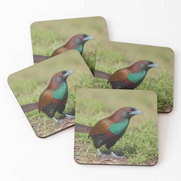 Item preview, Multi Colored Green Billed Coucal designed and sold by laguitan10.