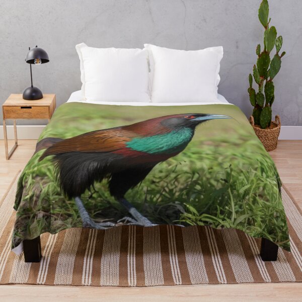 Item preview, Multi Colored Green Billed Coucal designed and sold by laguitan10.