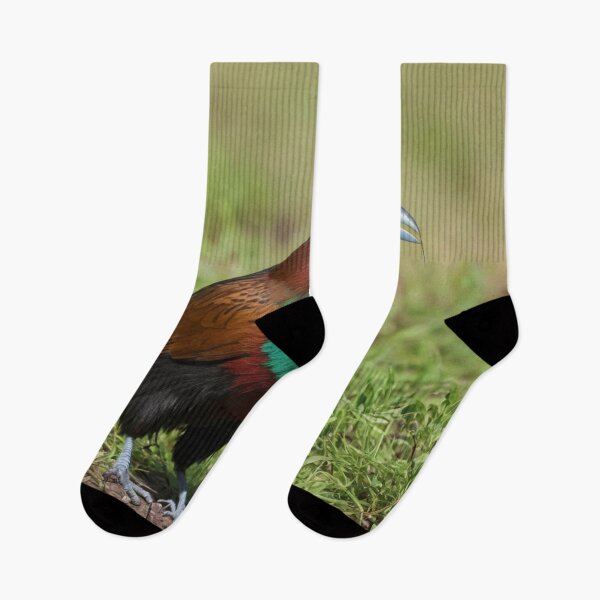 Item preview, Multi Colored Green Billed Coucal designed and sold by laguitan10.