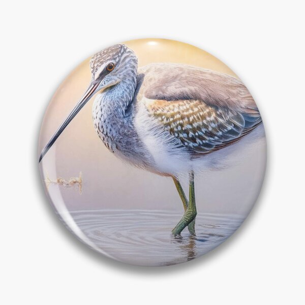 Item preview, Willet in the Water designed and sold by Susan Rydberg.