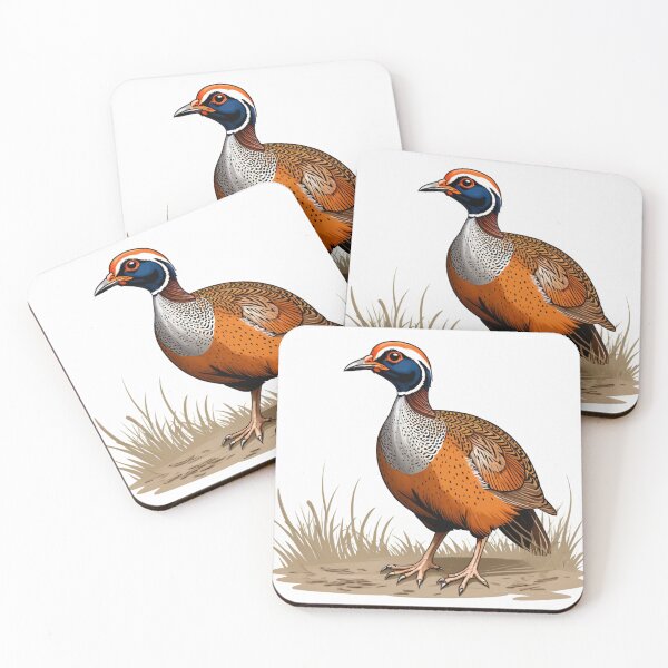 Item preview, Drawing of a River Francolin Pheasant designed and sold by laguitan10.
