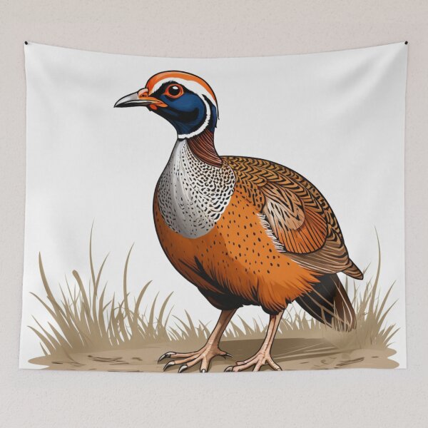Item preview, Drawing of a River Francolin Pheasant designed and sold by laguitan10.
