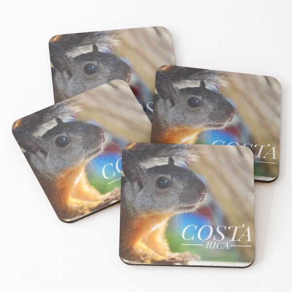 Item preview, Costa Rican squirrel designed and sold by Denisss4.