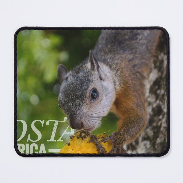Item preview, Cute Squirrel designed and sold by Denisss4.