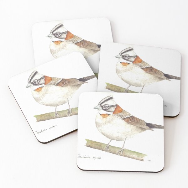 Item preview, Zonotrichia capensis designed and sold by Diana Malagon Romero.