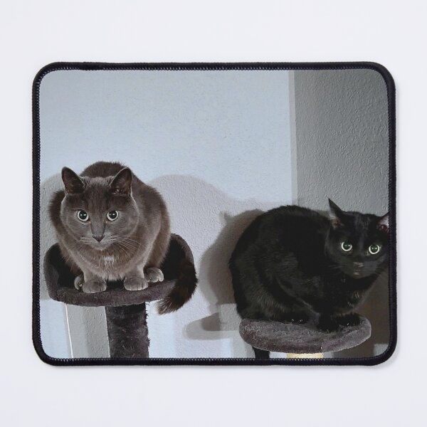 Item preview, One Tells Lies The Other Is Just Cute designed and sold by Expired-Altoids.