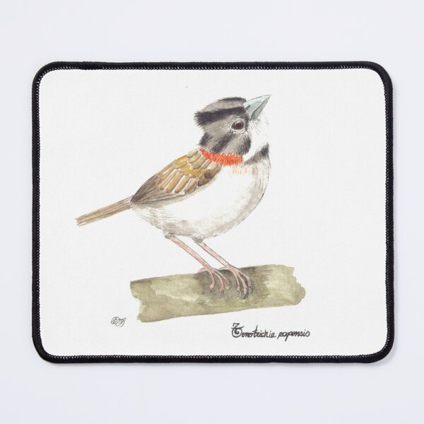 Item preview, Zonotrichia capensis, Colombian sparrow. designed and sold by Diana Malagon Romero.