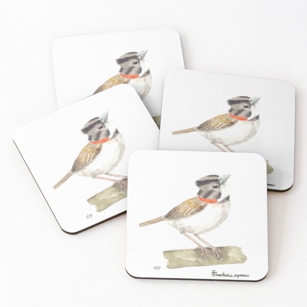 Item preview, Zonotrichia capensis, Colombian sparrow. designed and sold by Diana Malagon Romero.