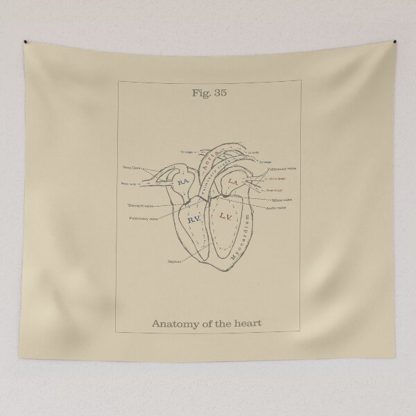 Item preview, Anatomy of the heart - Vintage textbook figure designed and sold by MicroMarket.