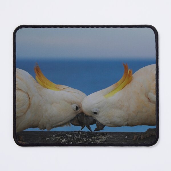 Item preview, Feeding Frenzy designed and sold by Annalucia.