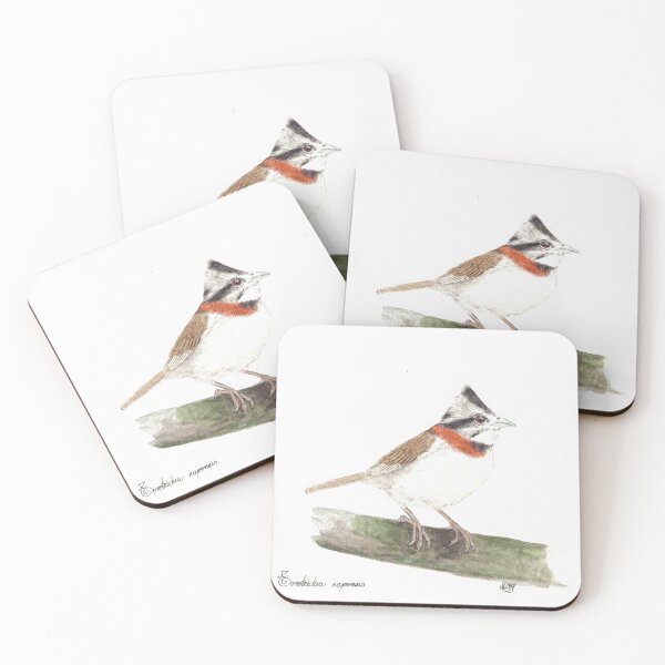 Item preview, Colombian Sparrow, (Zonotrichia capensis) designed and sold by Diana Malagon Romero.