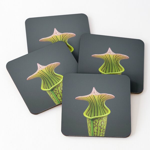 Item preview, Captivating Pitcher Plant designed and sold by BestArtByArvind.