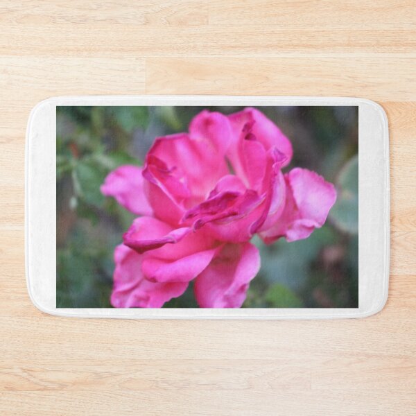 Item preview, Pink Rose (Full bloomed) designed and sold by matthewsimon1.