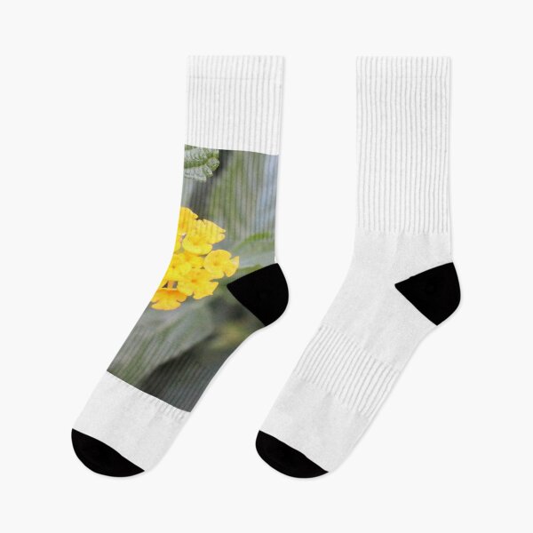 Item preview,  Yellow Lantana  designed and sold by matthewsimon1.