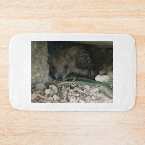 Item preview, Lonely hedgehog  designed and sold by Lonlygoat.