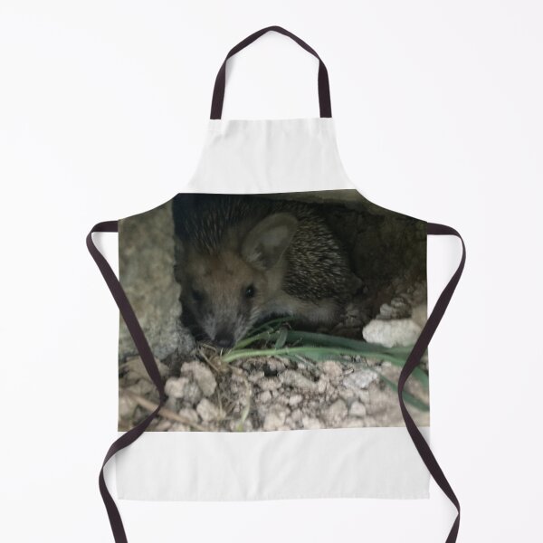 Item preview, Lonely hedgehog designed and sold by Lonlygoat.