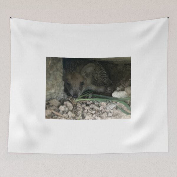 Item preview, Lonely hedgehog  designed and sold by Lonlygoat.