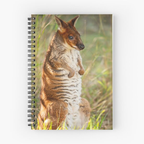 Item preview, Red-legged Pademelon designed and sold by robdwildlife.