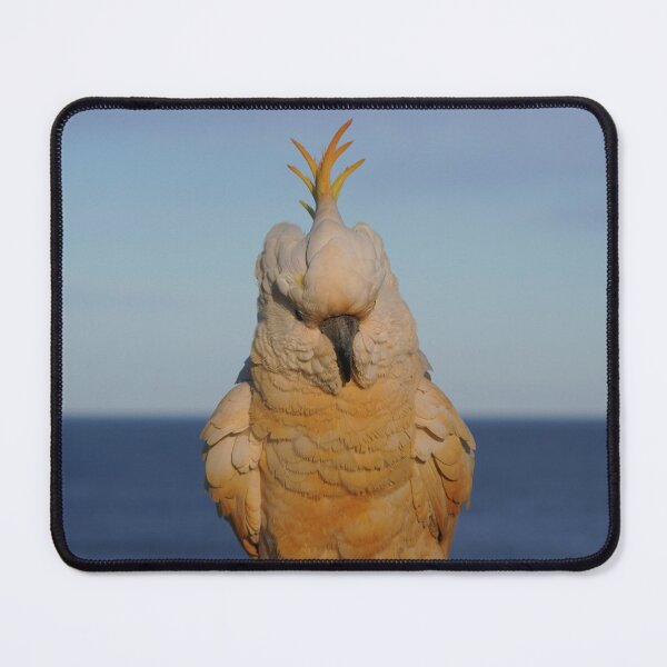 Item preview, Sunset Dreamer designed and sold by Annalucia.