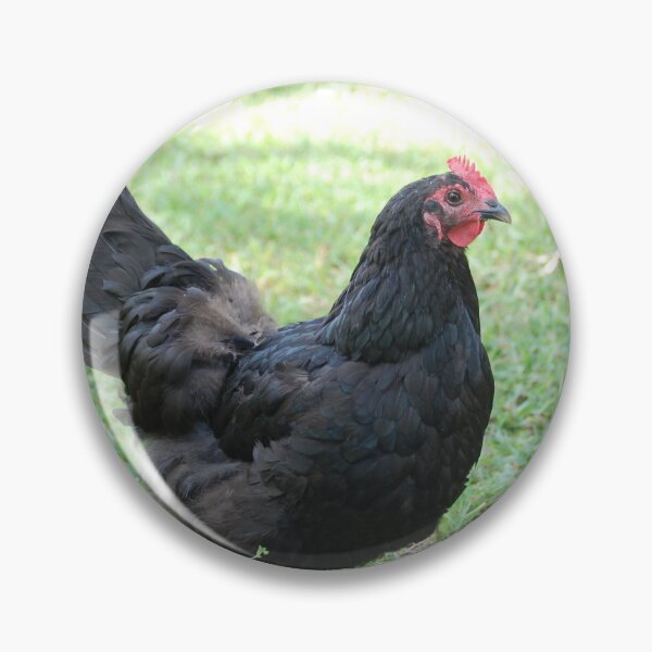 Item preview, Black Hen designed and sold by CorasDurrow.