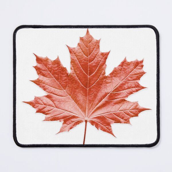 Item preview, Maple Leaf designed and sold by Kevin  Rose.