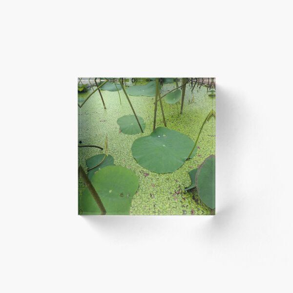 Untitled Acrylic Block