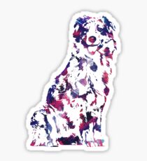 Pegatina Australian Shepherd Aussie