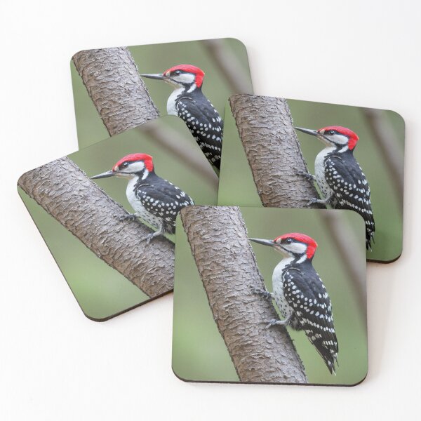 Item preview, Red Cockaded Woodpecker at Work designed and sold by laguitan10.